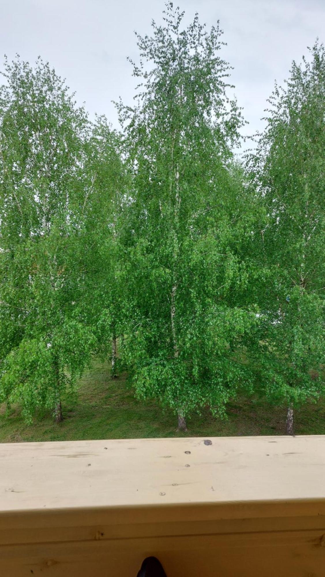 Apartamentai Gertruda Druskininkai Exterior photo